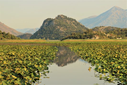 Lake Skadar National Park
