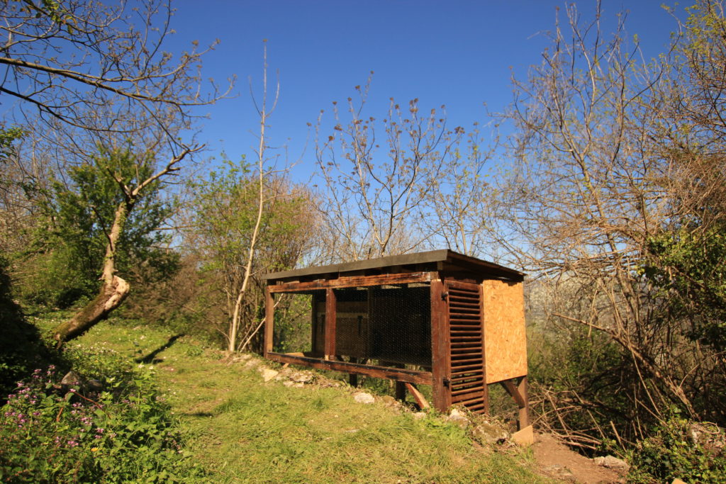 Villa Miela's chicken coop made entirely of re-used materials
